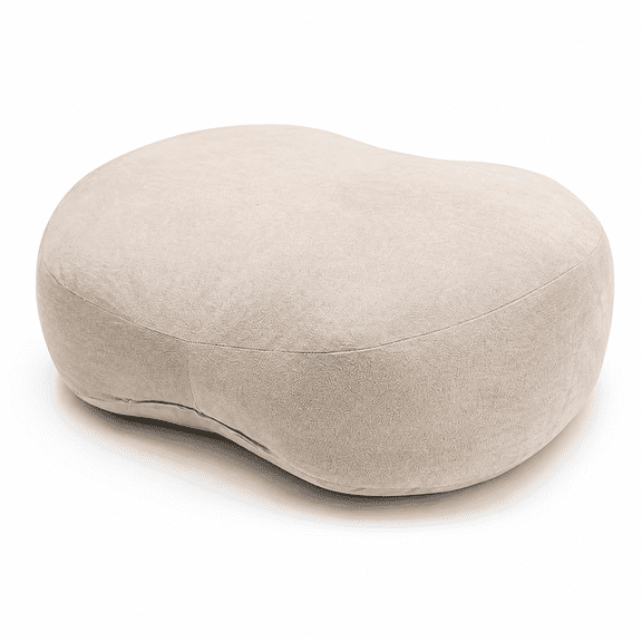 Set of 2 Super Soft Cute Camel Decorative Throw Pillows