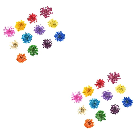Set of 2 Three-dimensional Nail Stickers Dried Flowers for Art