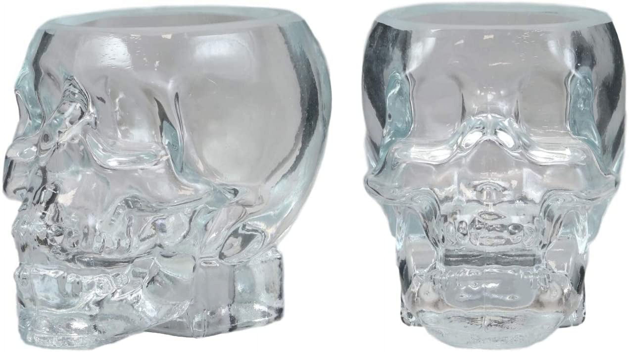 Set of 2 Translucent Acrylic Skeleton Skull Face Liquor Shot Glass ...