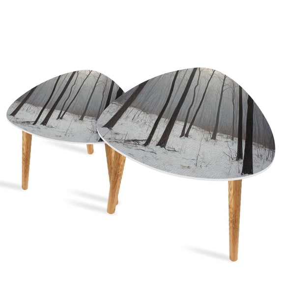 Set of 2 Triangle End Table Wood Cold Morning Mist Forest White Ruffled Foggy Forest Set of 2 Side Tables End Tables, Nesting Tables for Living Room