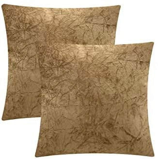Set of 2 Velvet Throw Pillows with Stuffing Included, Soft Square