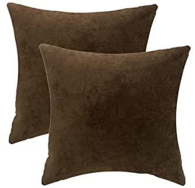 Set of 2 Classic Brown Velvet Square Throw Pillows