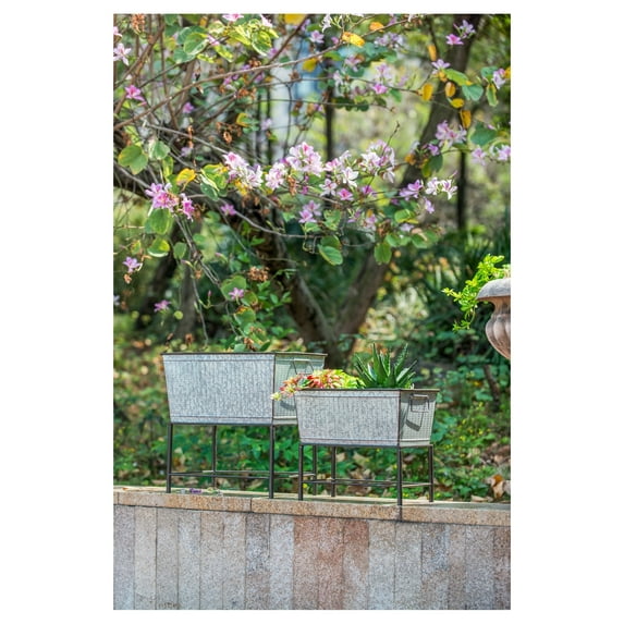 Set of 2 Zale Rustic Metal Planters with Stands, L:20x12x19.5" S:16.5x9.5x14.5"