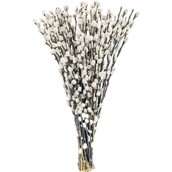 Set of 20 Real Dried Pussy Willow Branches,15.8In Portable Snow Pussy Willows for Indoor Decor,Natural Branches Decor for Table Centerpiece,Home
