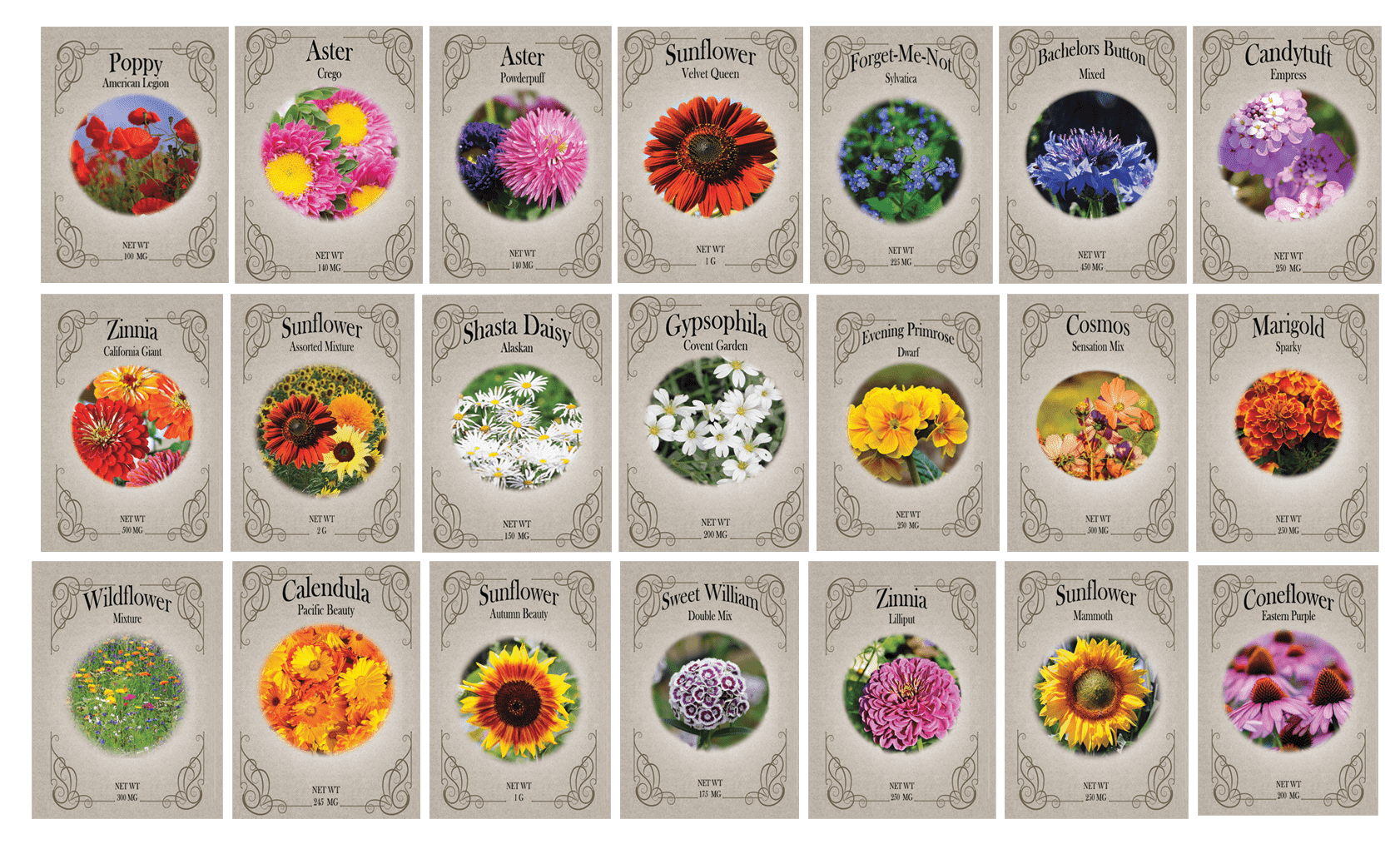 Set of 22 Valley Green Black Duck Brand Heirloom Flower Seeds 22 Different  Varieties Non-GMO (Variety Deluxe Flower Garden)