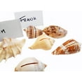 thumbnail image 1 of Set of 24 Genuine Seashell Place Card Holders Beach Wedding Favor Nautical Party Decor Sea Shell Table Sets, 1 of 4