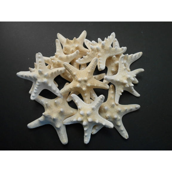 Set of 24 White Knobby Starfish for Beach Wedding Crafts and Decor 4-6" (100-150 mm) Nautical Coastal Beach Cottage Decor