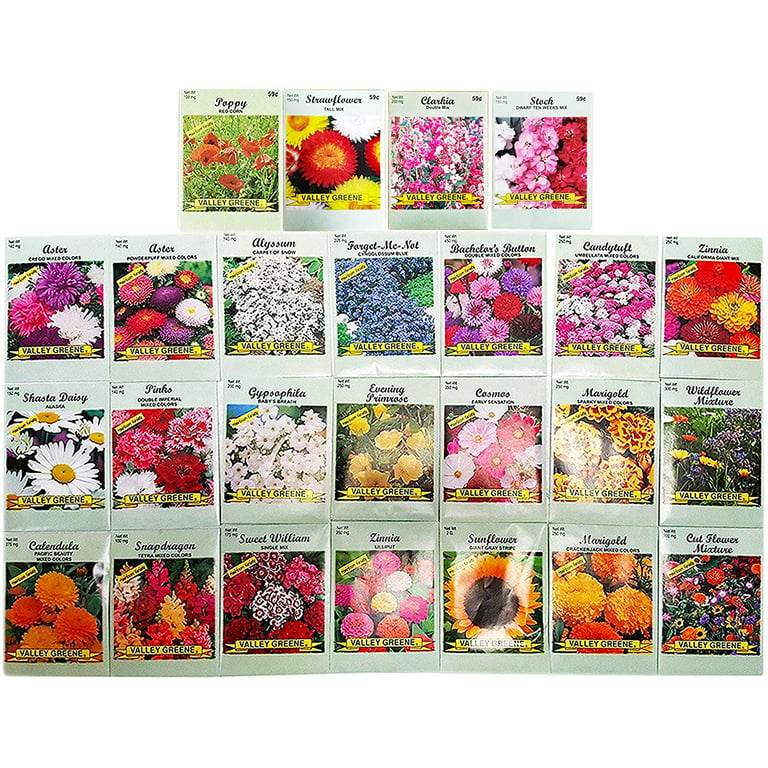 Set of 25 Flower Seed Packets Including 10 or More Varieties Forget Me Nots, Pinks, Marigolds