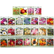 Set of 25 Deluxe Variety Flower Seed Packets