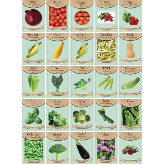 Set of 25 Premium Vegetable & Herb Seeds - 25 Deluxe Variety Premium Vegetable & Herb Garden 100% Non-GMO Heirloom