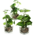 thumbnail image 1 of Set of 3 Artificial Plants, Faux Potted Plants Indoor, Small Fake House Plant in White Square Ceramic Pots for Shelf Decor, 1 of 8