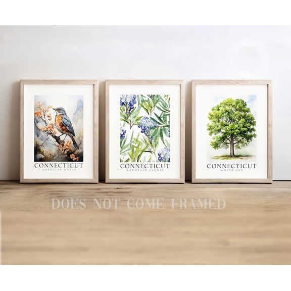 Set of 3 Connecticut State Symbols Poster American Robin White Oak and Mountain Laurel Wall Art Decor, Stretched Canvas