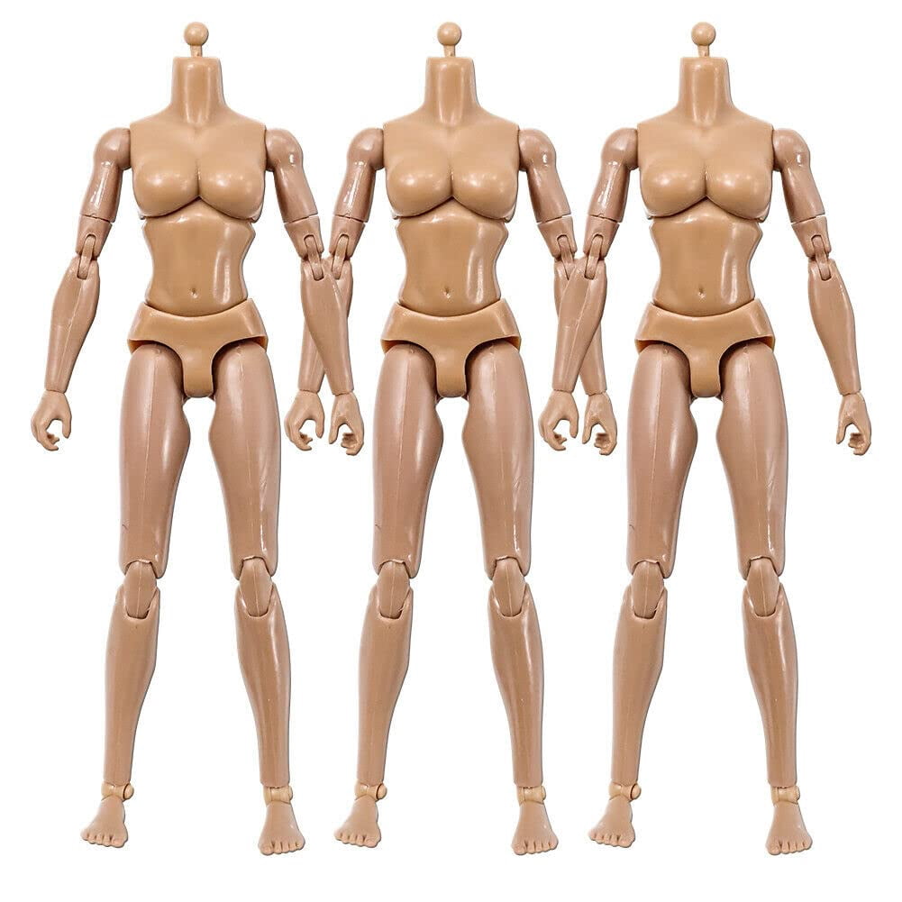 Set of 3 Deluxe Female 8 Inch Articulated Flesh Bodies (Yvonne)