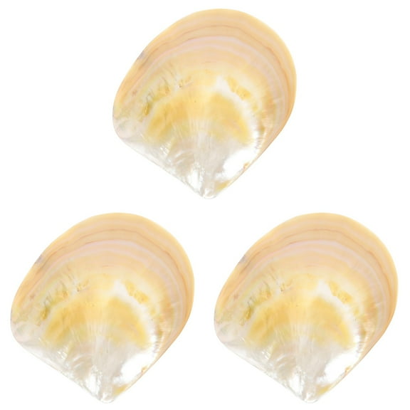 Set of 3 Display Caviar Dish Dessert Serving Plate