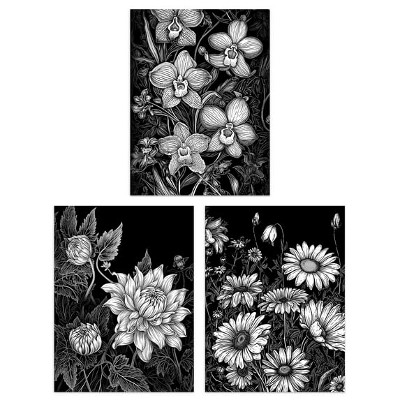 Set of 3 Elegant Dahlia Daisy and Orchid Flowers Floral Black and White Striking Impact Artwork Unframed Wall Art Living Room Poster Prints Pack