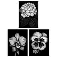 thumbnail image 1 of Set of 3 Elegant Single Hydrangea Orchid Pansy Flowers Floral Black White Striking Impact Artwork Unframed Wall Art Living Room Poster Prints Pack, 1 of 5