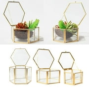 Set of 3 Handmade Brass Mini-Greenhouse Terrarium Plant Pot Home Tabletop Decorations -