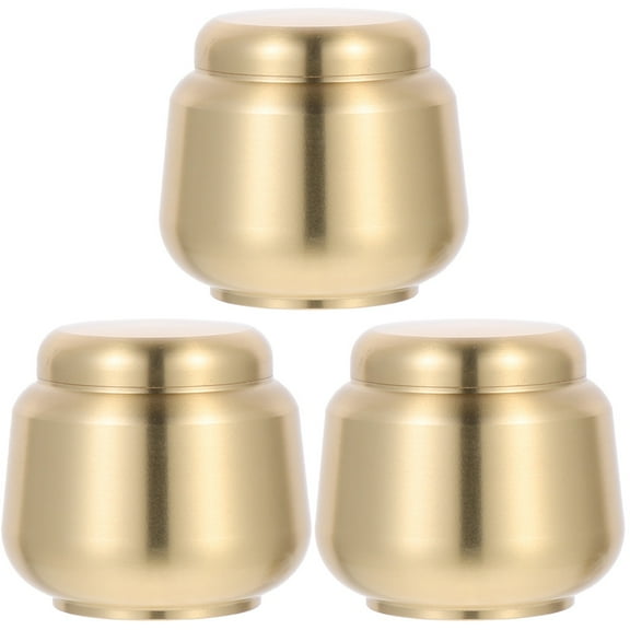 Set of 3 Human Urn Small Containers for Ashes Baby Urns Commemorate Pet Copper