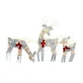thumbnail image 1 of Set of 3 Lighted Christmas 2D Reindeers Outdoor Decorations, Pre-Lit Light Up Xmas Rudolph & Santa Sleigh with Lights, 1 of 5