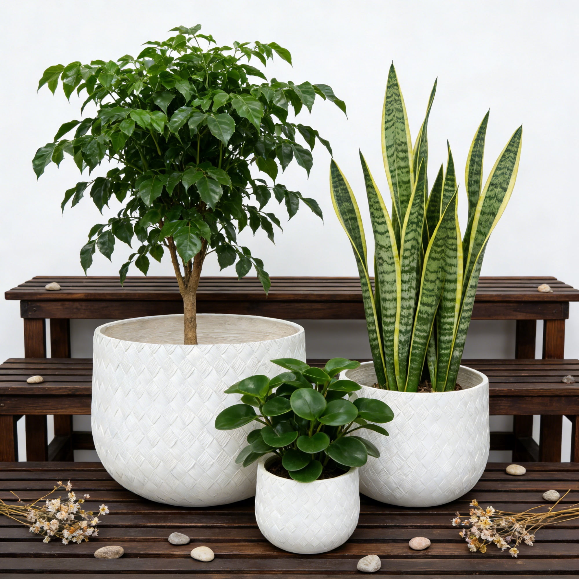Set of 3 Magnesium Oxide Round Planters with Weave Pattern and Drainage Holes, Indoor Outdoor Plant Pots, White