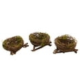thumbnail image 1 of Set of 3 Mini Bird Nests 3", 1 of 1