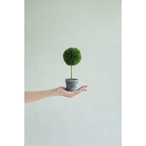 Set of 3 Mini Faux Potted Boxwood Topiaries, 9.5" Tall in Black Pots for Bathroom Kitchen Shelf Decor