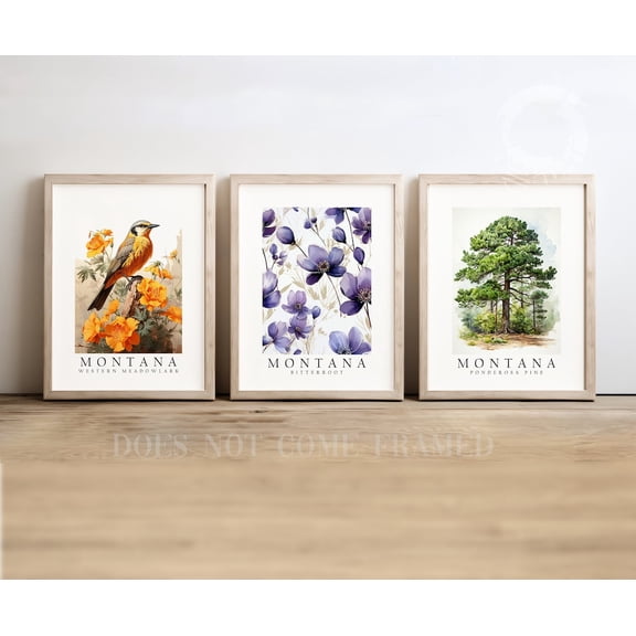 Set of 3 Montana State Symbols Poster Meadowlark Pine and Bitterroot Wall Art Decor, Stretched Canvas