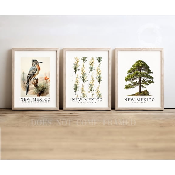 Set of 3 New Mexico State Symbols Poster Prints Greater Roadrunner Pinyon Pine and Yucca Wall Art Decor, Poster Only