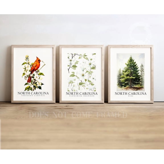 Set of 3 North Carolina State Symbols Poster Wall Art Cardinal Pine and Dogwood Flower Prints for Home Decor, Poster Only