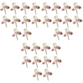 thumbnail image 1 of Set of 3 Oil Diffuser Scents Sticks Oils for Fragrance Natural, 1 of 8