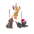 thumbnail image 1 of Set of 3 PLAYFUL PUPPY DOG Christmas Ornaments by Kurt Adler, 1 of 1