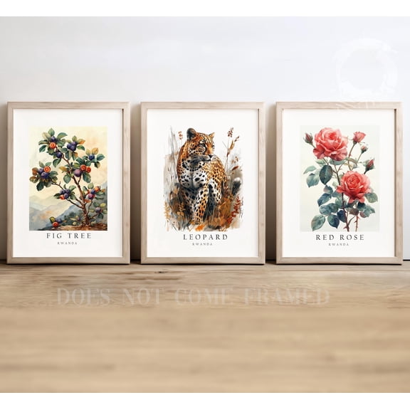 Set of 3 Rwanda National Symbols Poster Wall Art Leopard Rose and Fig Tree Prints for Home Decor, Stretched Canvas