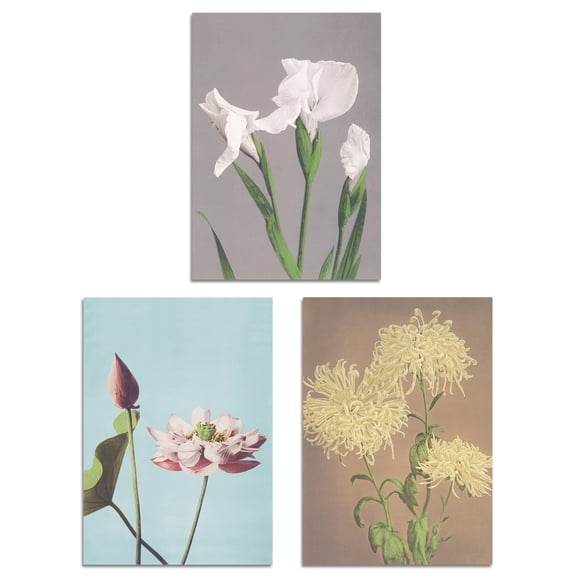 Set of 3 Vintage Japanese Floral Botanical Flowers Wall Art Prints A4 Size Living Room Decor