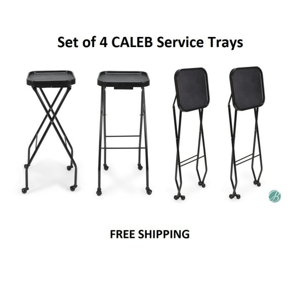 Set of 4 CALEB Styling Trays, Service Tray Coloring Tray Tattoo Tray perfect for Styling stations, Salon, Barbershop & Tattoo Studio
