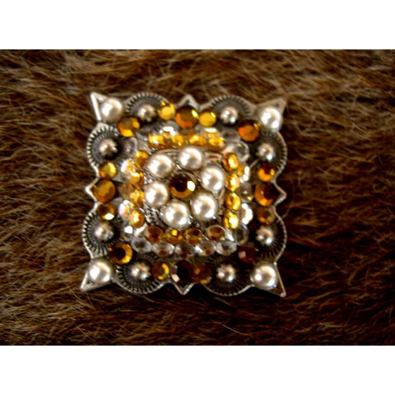 Set of 4 Conchos Western Saddle Tack Berry Co302