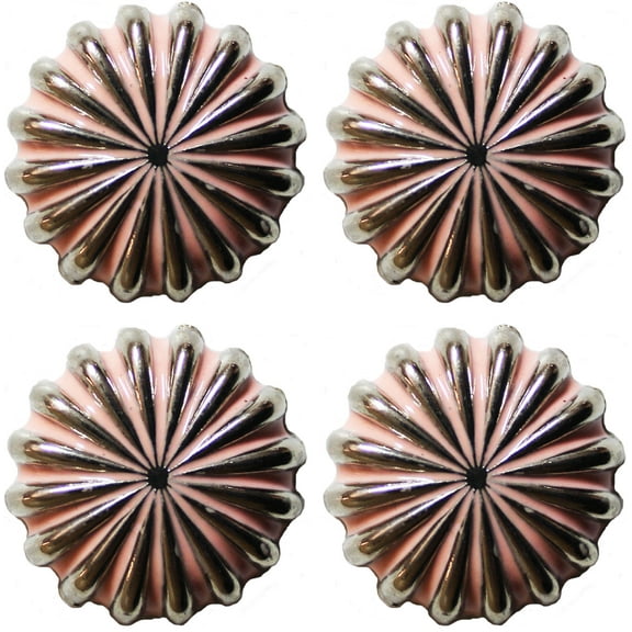 Set of 4 Conchos Western Saddle Tack Pink Parachute Co534