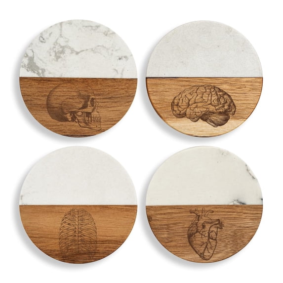 Set of 4 Drink Coasters with Holder Gift Medical Anatomy Collection Nurse Doctor Physician (Acacia Wood & Marble)