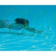 Set of 4 Floating Pool Rings