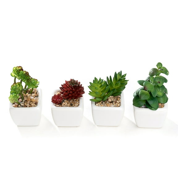 Set of 4 K-Cliffs Mini Artificial Succulent Plants Potted in Cube-Shape White Ceramic Pot
