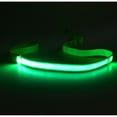 thumbnail image 1 of Set of 4 LED Dog Leash Rechargeable Nylon for Night Walking and Visibility for Large and Small Dogs, 1 of 14