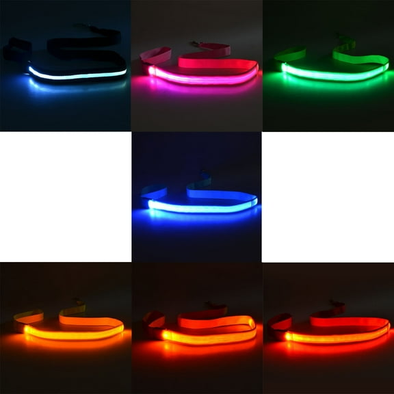 Set of 4 LED Dog Leash Rechargeable Nylon for Night Walking and Visibility for Large and Small Dogs