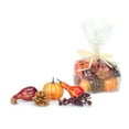 thumbnail image 1 of Set of 4 Orange and Red Decorative Pumpkin and Gourd Bag 7", 1 of 1