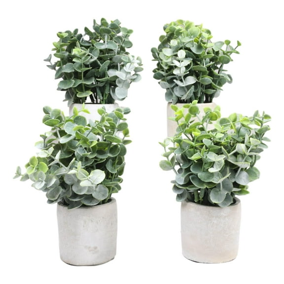 Set of 4 Realistic Artificial Botanica Boxwood Sage Bush Plant in Concrete Pots