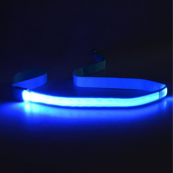 Set of 4 Rechargeable LED Dog Leash Long Waterproof Nylon for Enhanced Nighttime Safety and Visibility for Dogs