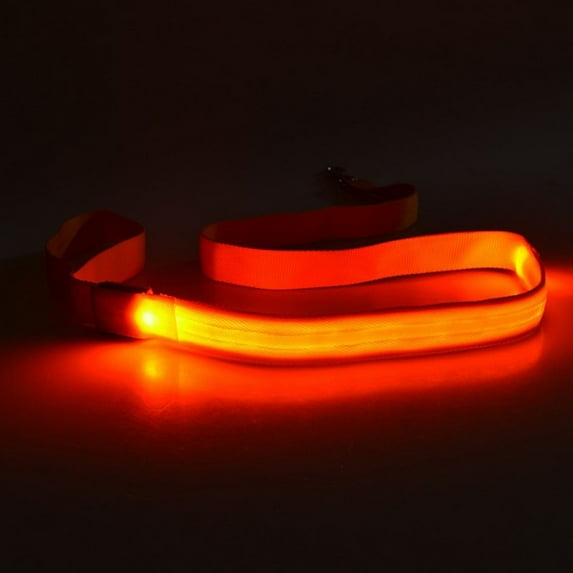 Set of 4 Rechargeable Light Up Dogs Leash Waterproof Nylon for Night Safety