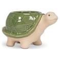 thumbnail image 1 of Set of 4 Turtle Starter Planter, 1 of 2