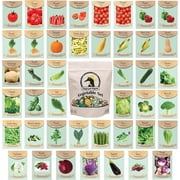 Black Duck Brand 43 Assorted Vegetable & Herb Plant Seeds, Heirloom, Non-GMO, Air-Purifying