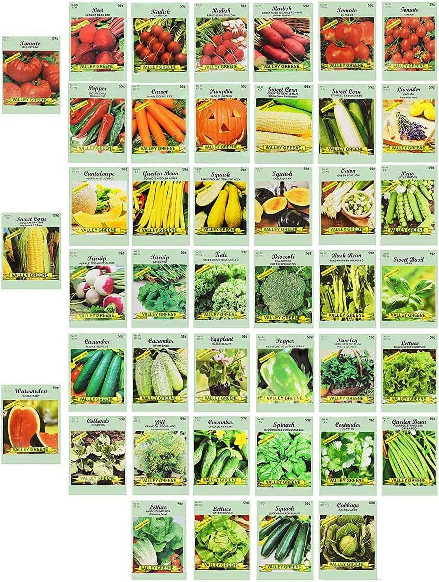 Set of 43 Assorted Vegetable & Herb Seeds - 43 Varieties
