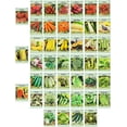 thumbnail image 1 of Set of 43 Assorted Vegetable & Herb Seeds - 43 Varieties, 1 of 2
