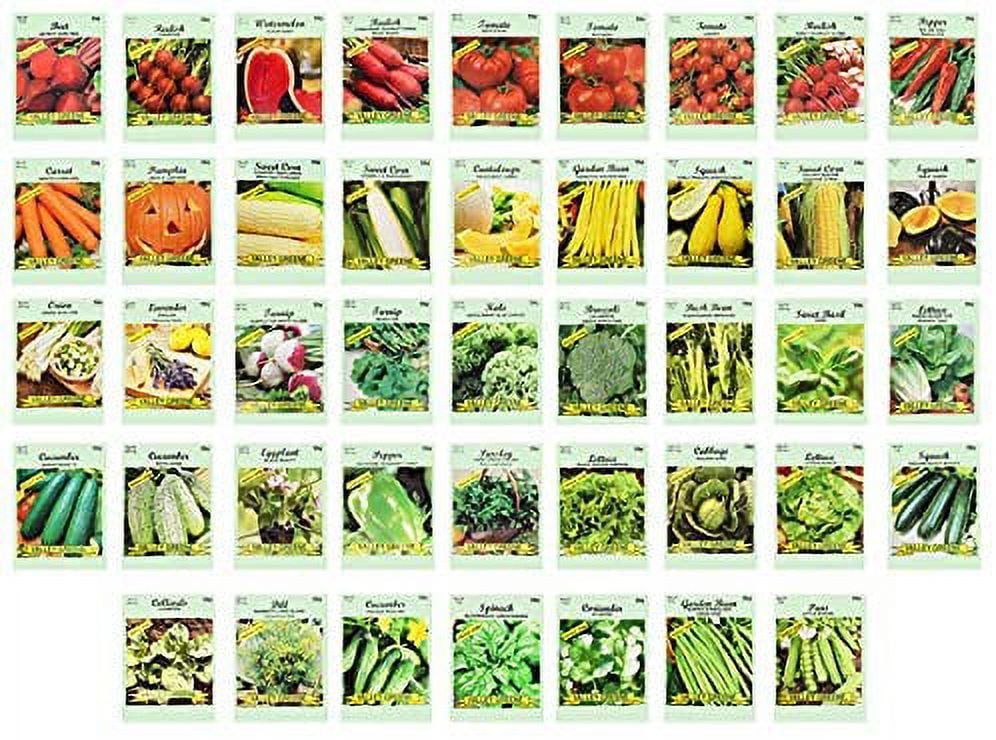 Set of 43 Assorted Vegetable & Herb Seeds - Create a Deluxe Garden All Seeds are Heirloom - 100% Non-GMO - Heirloom